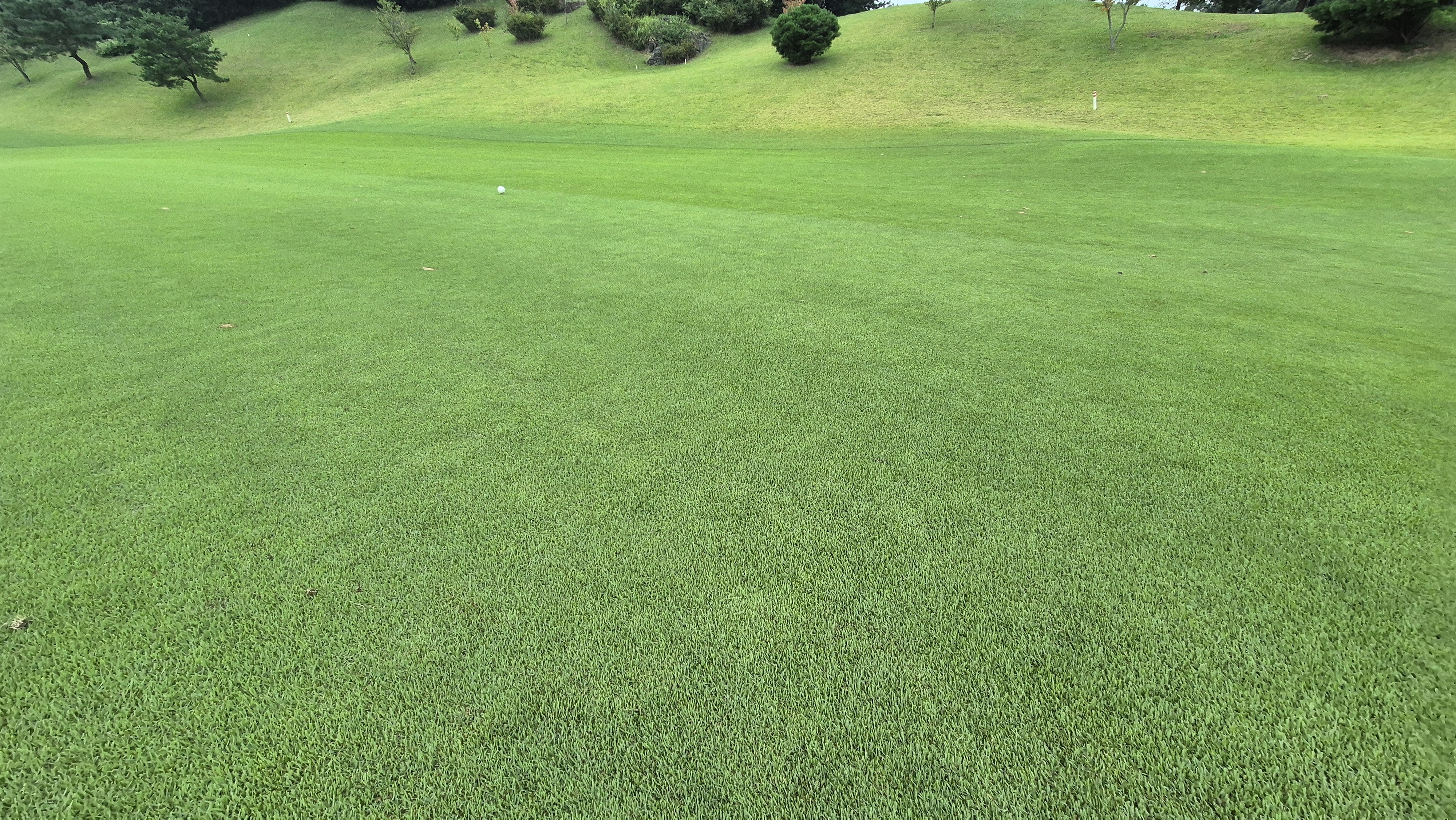 골프존카운티 진천