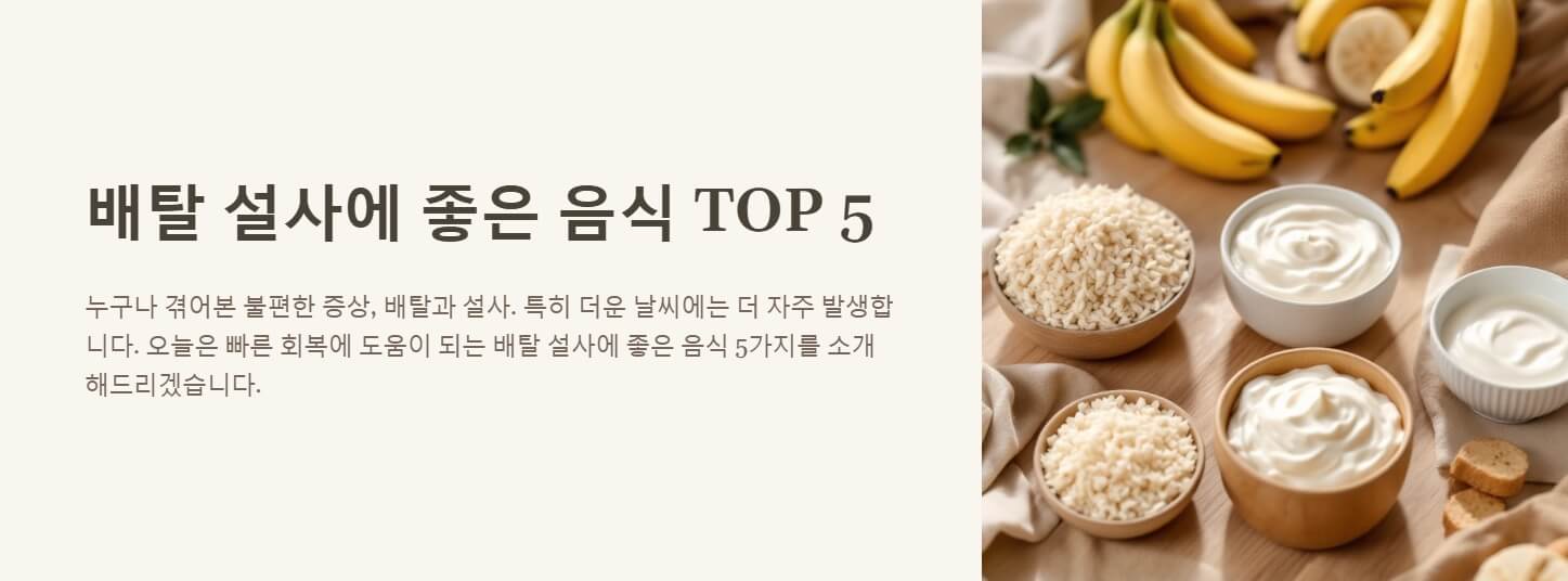 배탈 설사에 좋은 음식