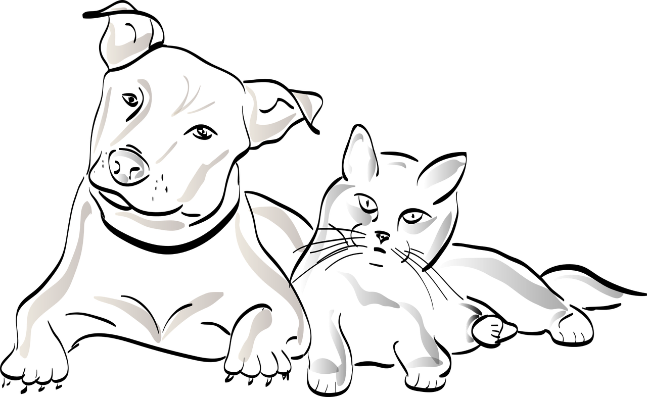 강아지, 고양이