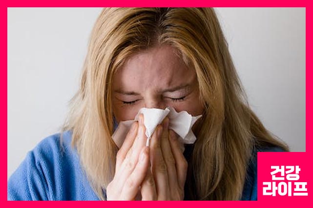 비염 수술 방법