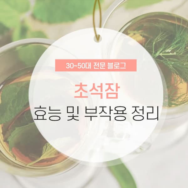 초석잠 효능 및 부작용 소개 컨텐츠