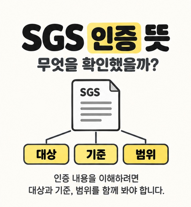 SGS 인증 뜻 제목 아래 SGS 문서에서 대상, 기준, 범위로 선을 연결해 인증 내용을 읽을 때 확인할 요소를 보여주는 대표 이미지