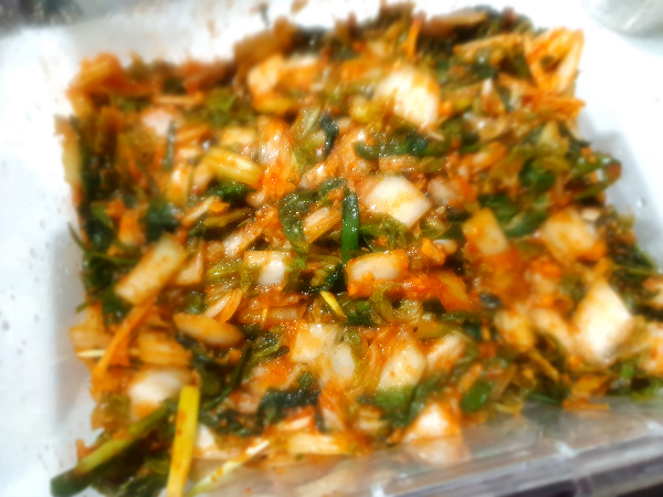 배추 파란잎으로 만든 겉절이