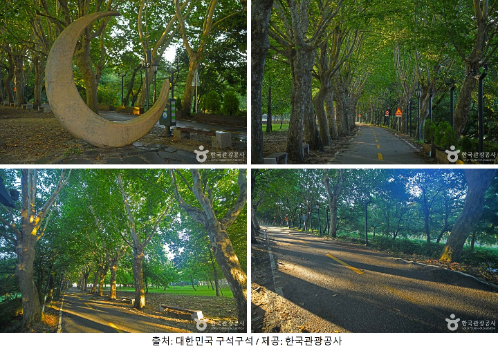 관방제림 이미지입니다.