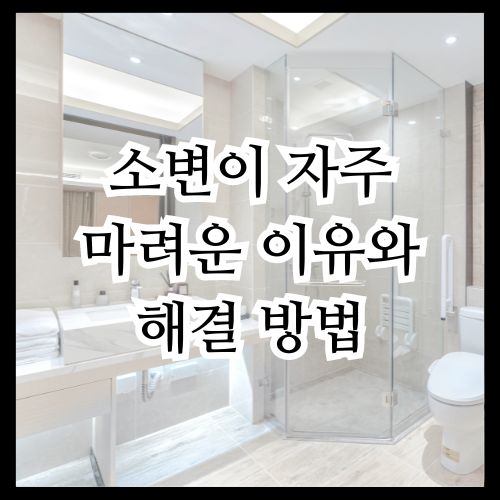 소변이 자주 마려운 이유