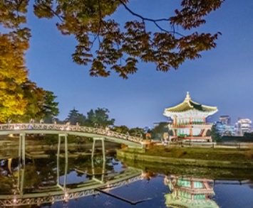 봄밤의 경복궁&amp;#44; 별빛야행
