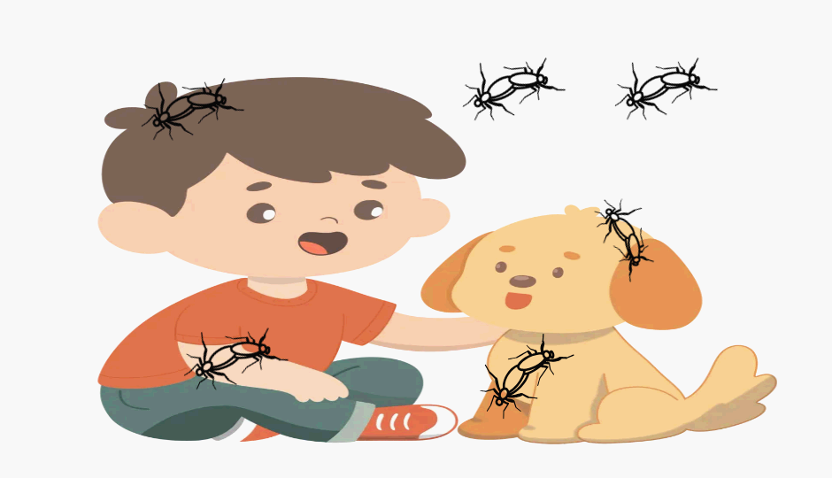 러브버그, 어린이와 반려동물에게는 안전할까? - 실제 피해 가능성과 올바른 대응법