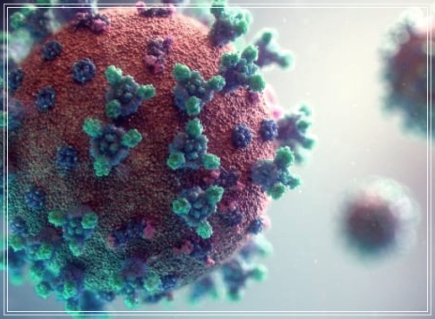 메타뉴모 바이러스 성인 증상 치료방법은?