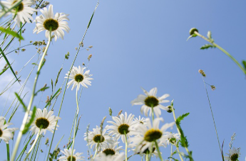 전국민 25만원 민생회복지원금 완벽 정리 20