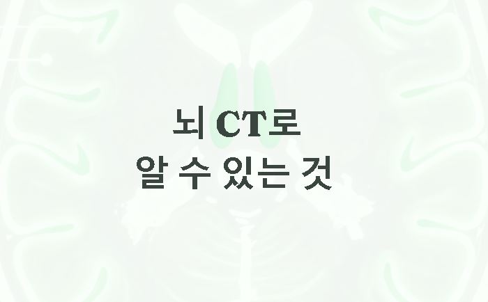 뇌ct로 알수있는것
