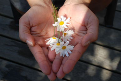 아름다운가게 기부 환급