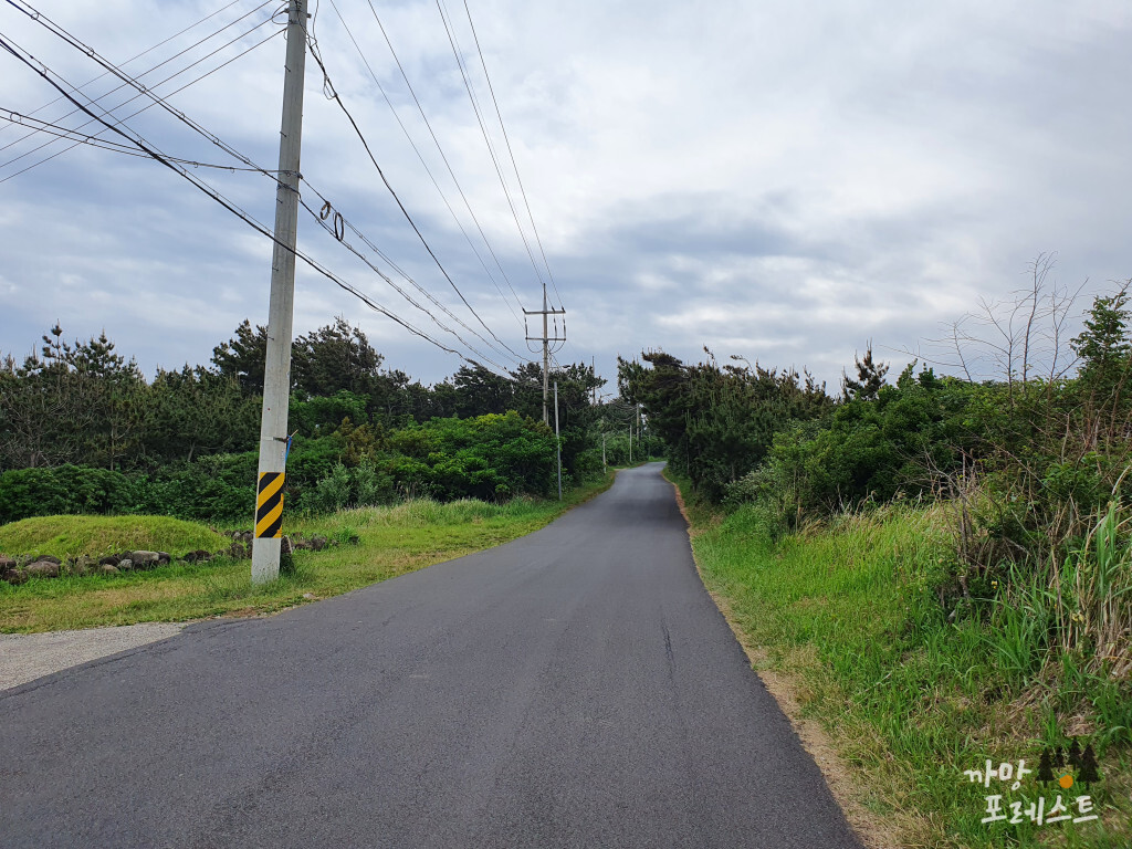 수월봉 올라가는길