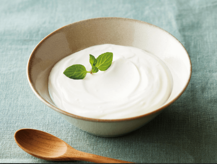 차가버섯 끓이는법 분말 먹는 방법(먹는법)알아보기