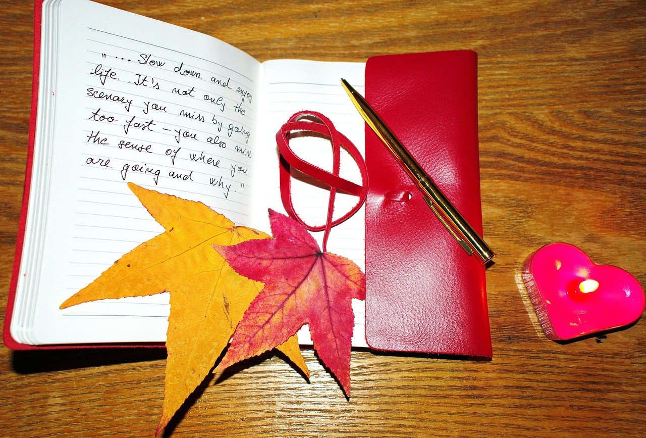 내 삶의 일기장