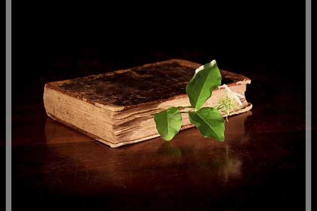 약사 관련 사회적 이슈 최신정보&amp;#44; 25년 6월 22일 기준