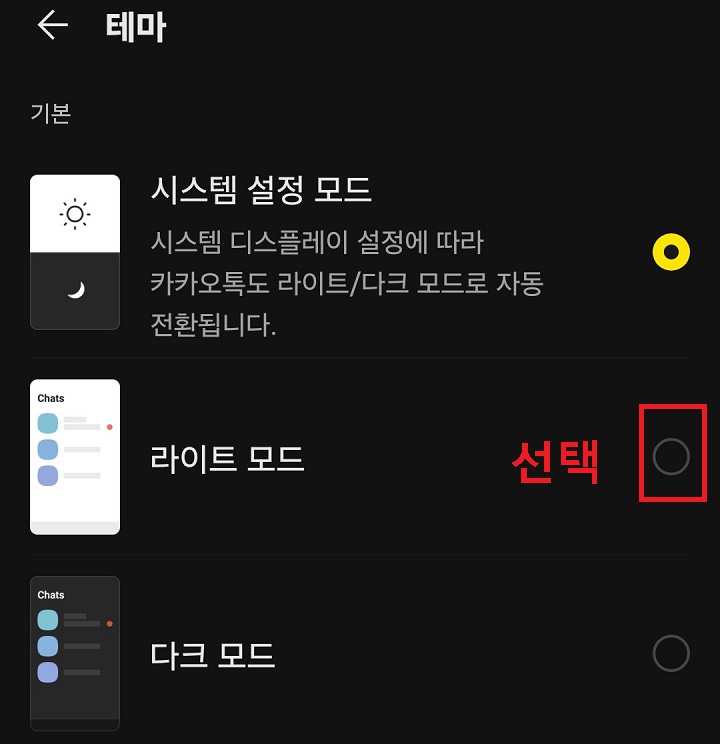 라이트모드 선택함