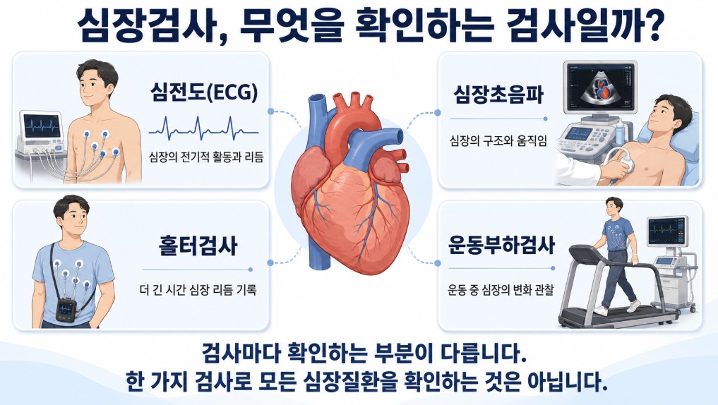 심전도와 심장초음파를 중심으로 홀터검사와 운동부하검사 등 심장검사 종류별 확인 내용을 설명한 이미지