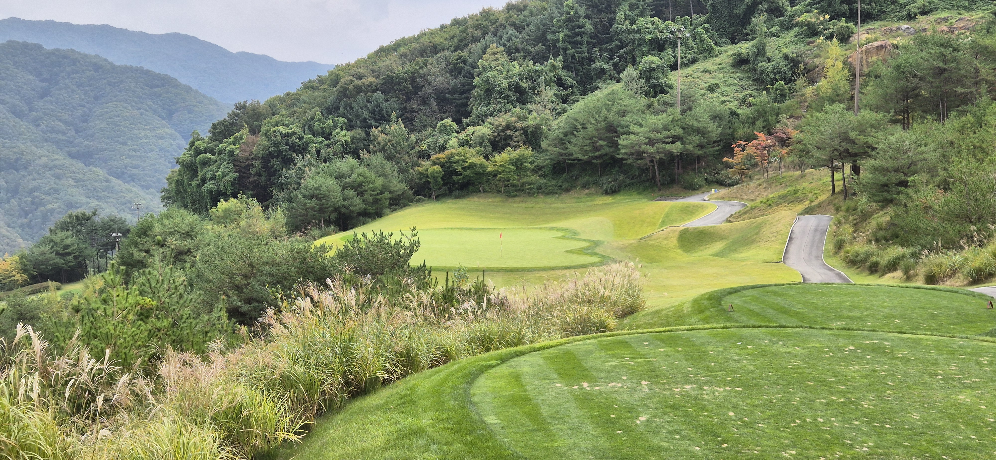 소노펠리체cc이스트