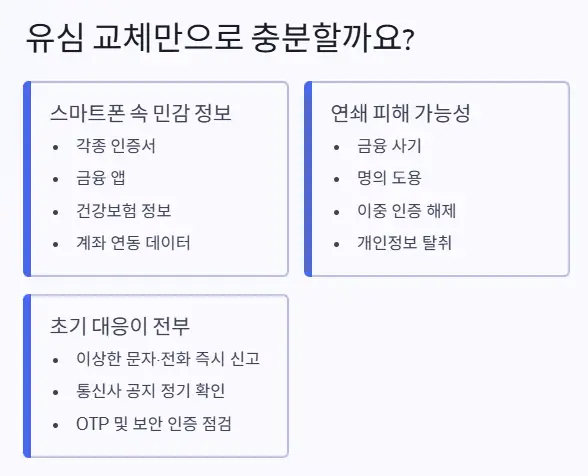 유심 교체외 대응