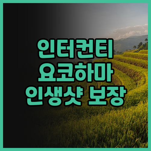 인터컨티넨탈 요코하마 피어 8 후기 ..