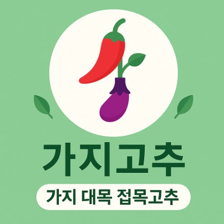 베란다 가지고추(가지 대목 접목고추) 재배법 사진