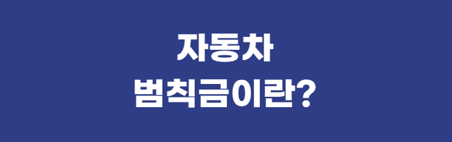 자동차-범칙금이란?