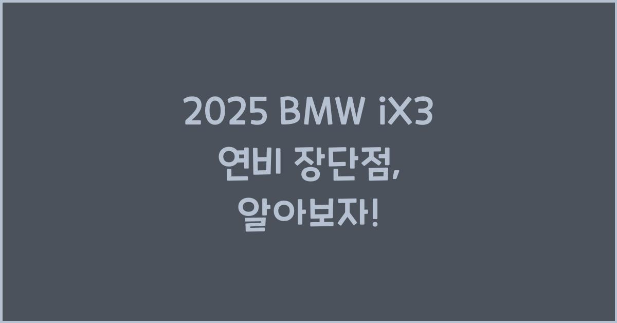 2025 BMW iX3 연비 장단점