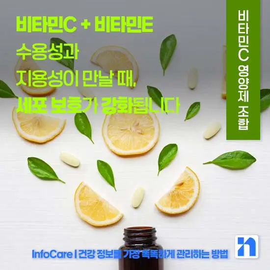 비타민C 같이 먹으면 좋은 영양제 조합