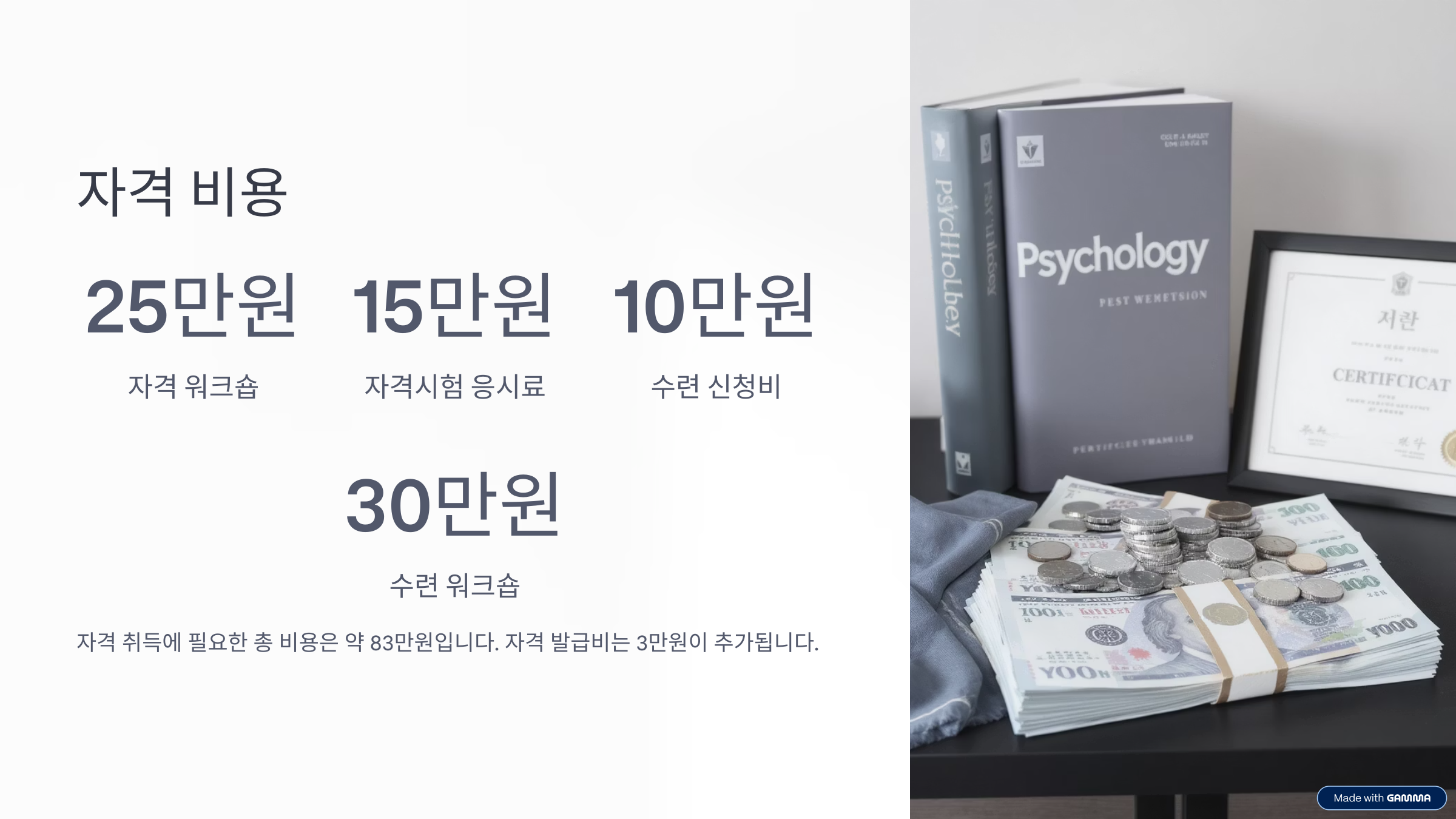 발달심리사 1급 취업 자격증 시험 일정