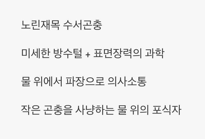 1. 물 위의 곡예사&amp;#44; 소금쟁이의 비밀