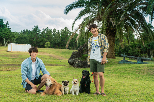 영화 멍뭉이 정보 ott 등장인물 줄거리 후기 