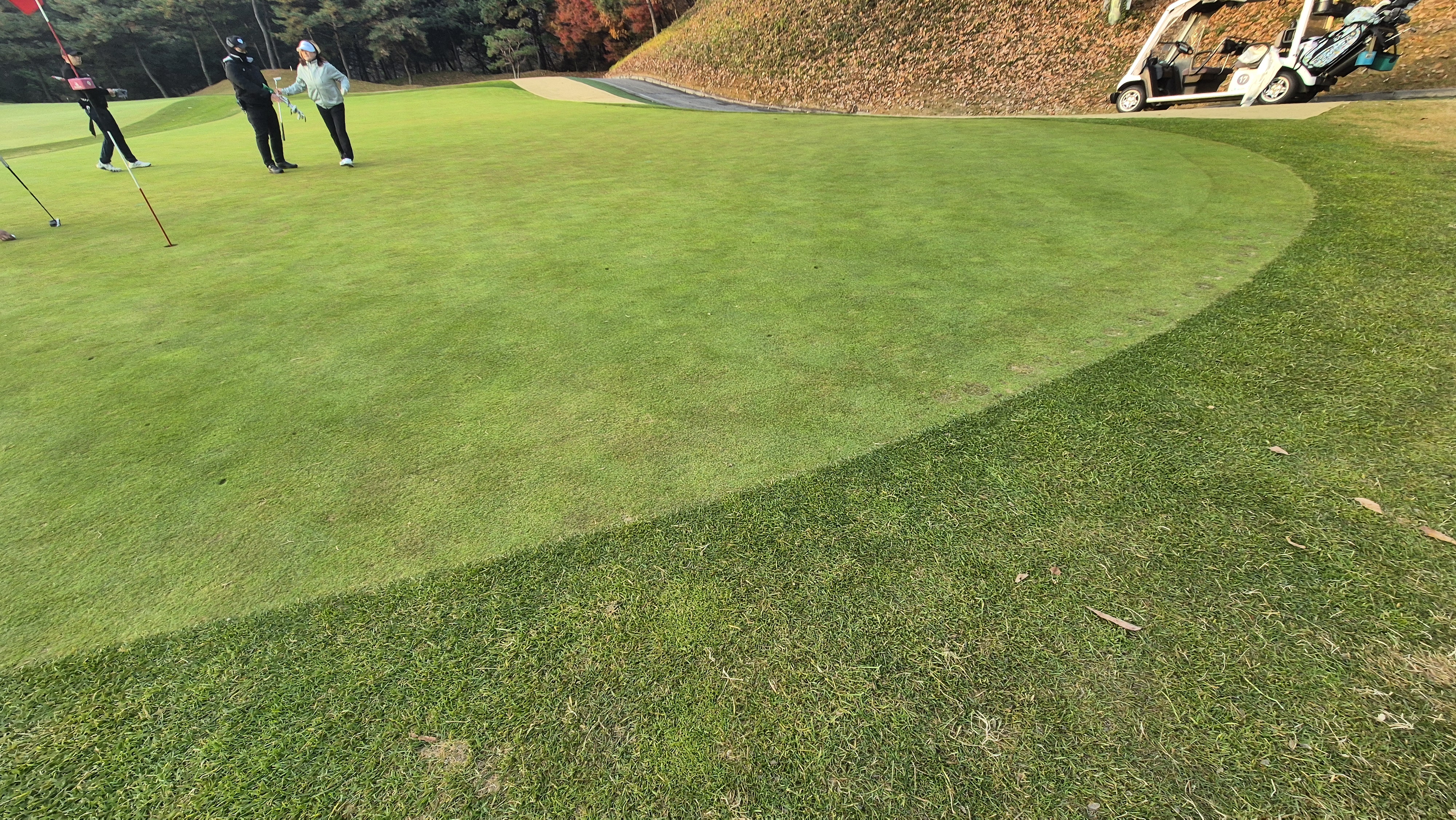 올데이 떼제베cc 가람-누리(서-남) 그린관리상태