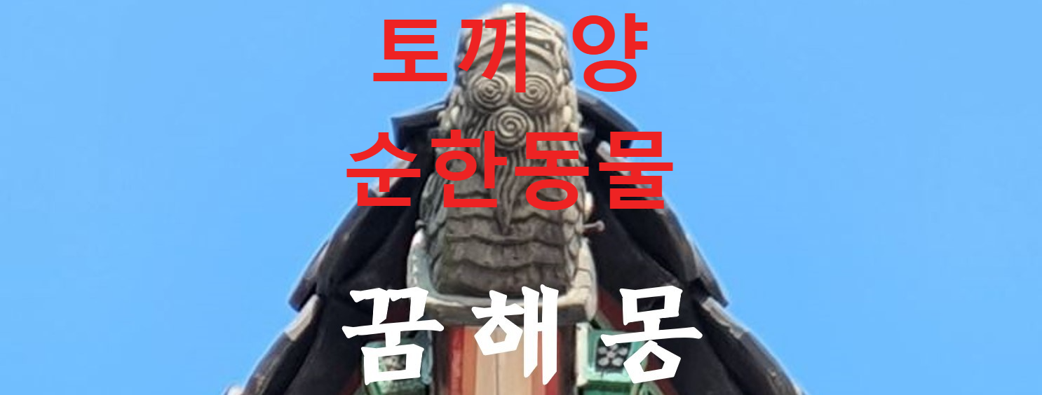 꿈해몽