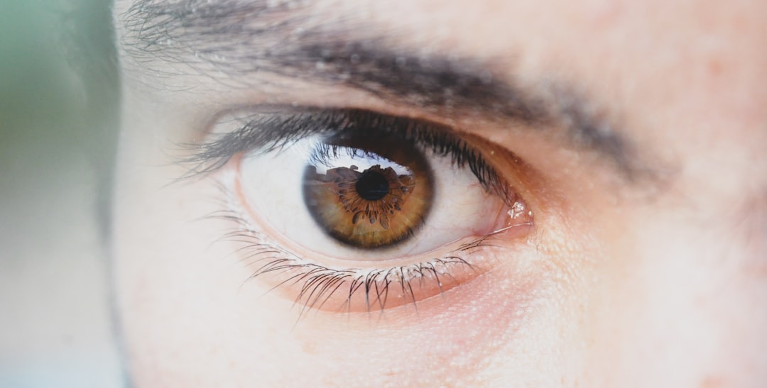 Eyelid