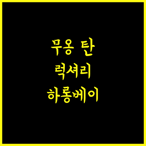 무옹 탄 럭셔리 하 롱 센터 호텔 완