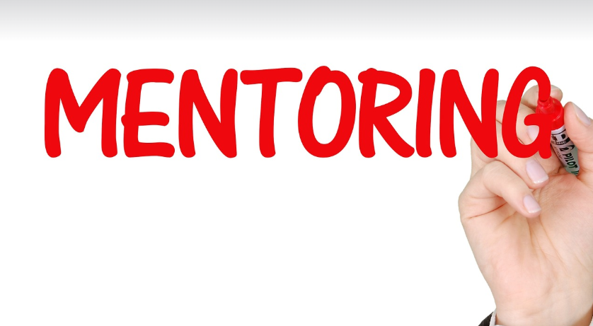 자기계발 멘토링과 피드백, 성장의 지름길