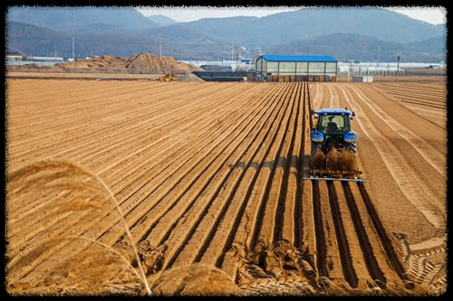 📢 2025년 직불금 교육 신청 필수 가이드! 꼭 받아야 할까? 신청 방법과 마감 기한 총정리