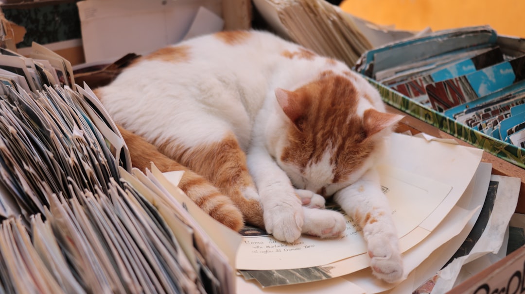 Tax accountant.