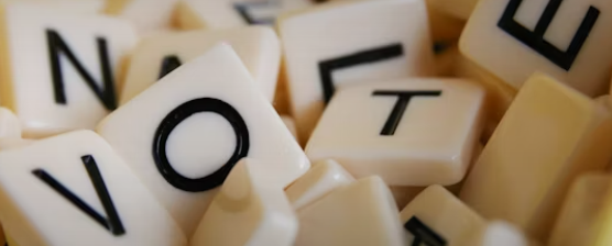 재보궐선거 개표현황