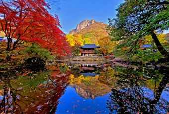 내장산 단풍터널 드라이브 코스 주차장 위치까지 총정리_4