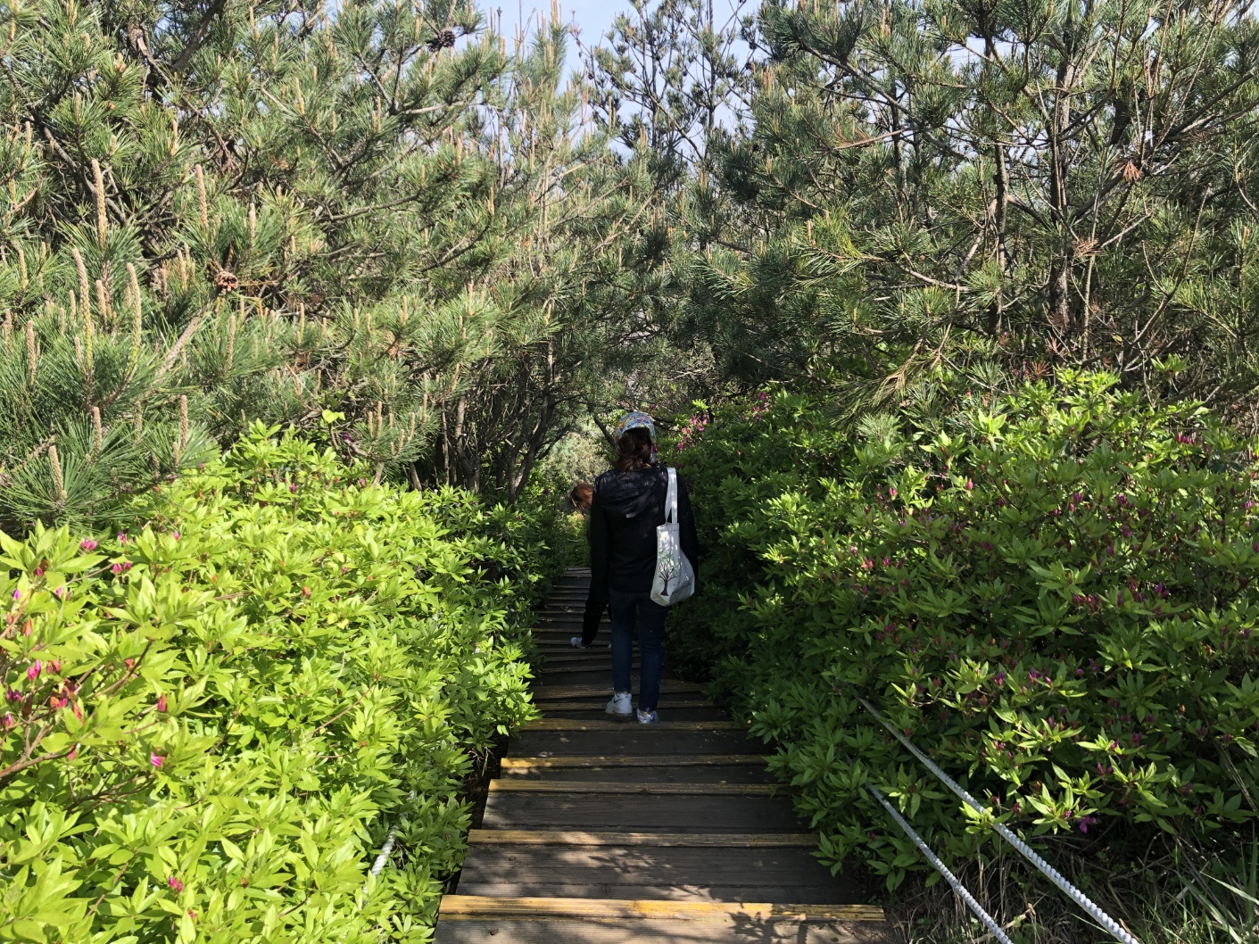 다랑쉬오름 산책로