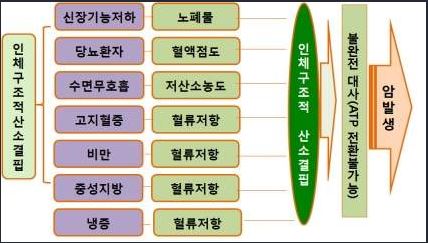 인체_구조적_암발생_요인