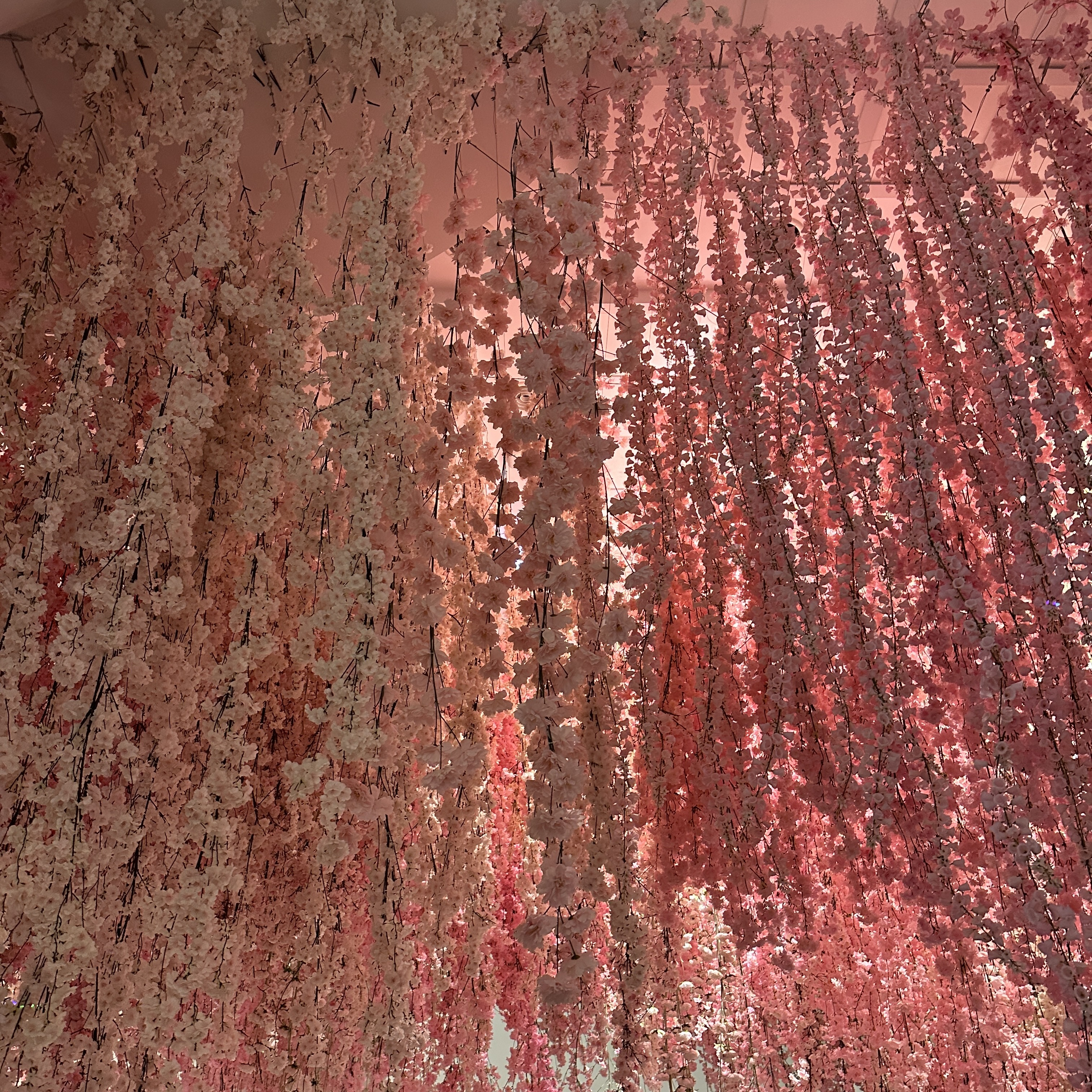 블루밍플레이리스트_센텀신세계팝업