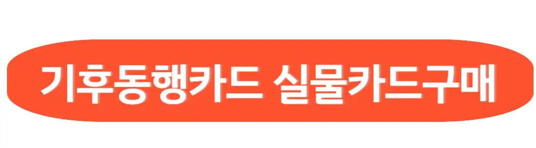 기후동행카드 실물 카드 구매
