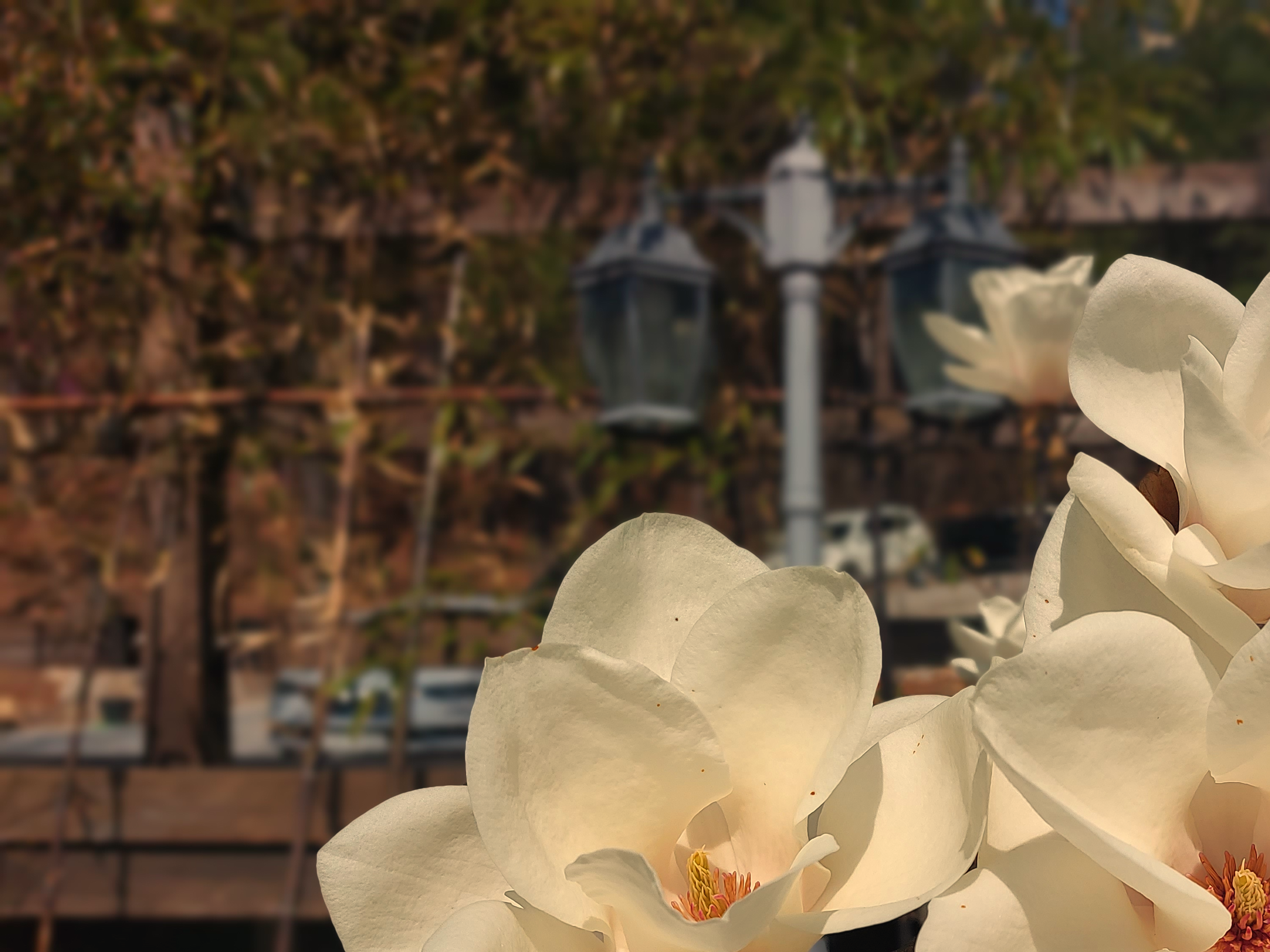 울산 맛집 농도 내부