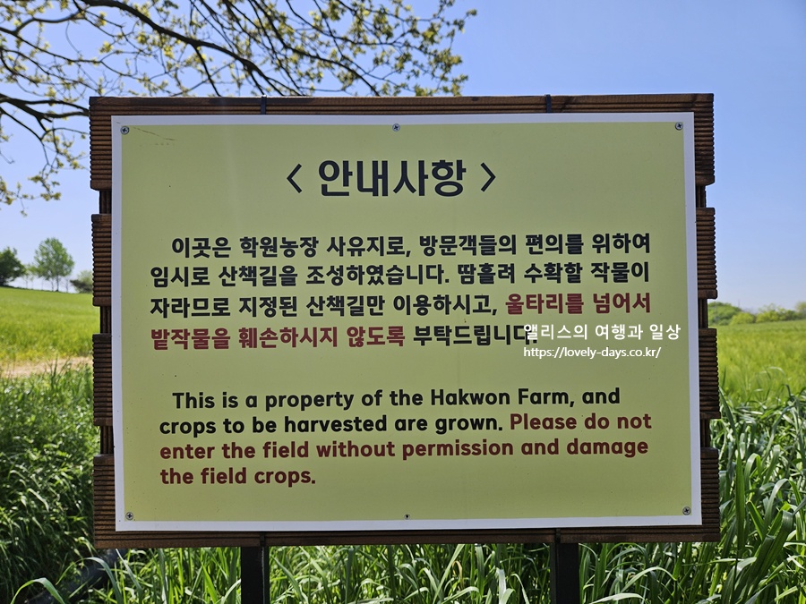 2026 고창 청보리밭 축제 기간 프로그램 주차장 당일치기 투어