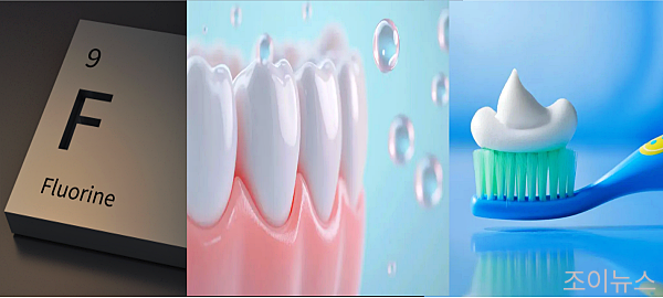 불소, 똑똑하게 이해하기_불소의 치아에 대한 영향