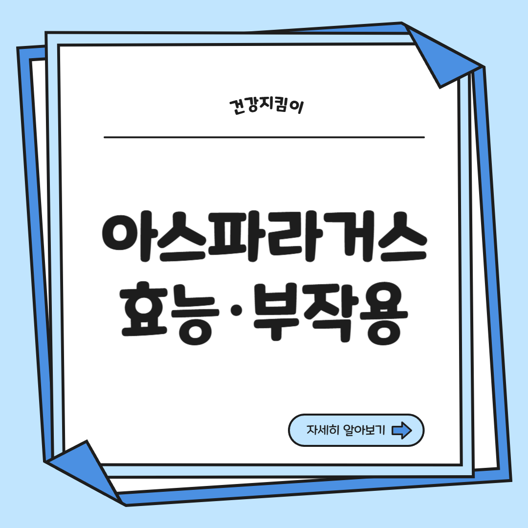 아스파라거스 효능 사랑받는 6가지 고르는법 부작용