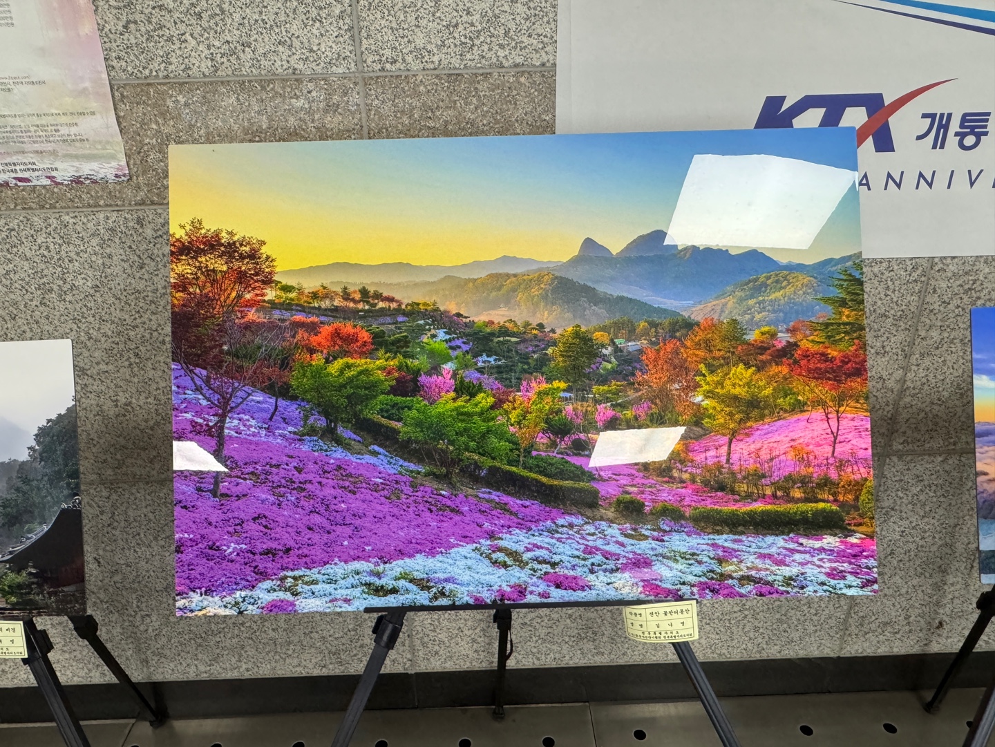 전국사진 전시회