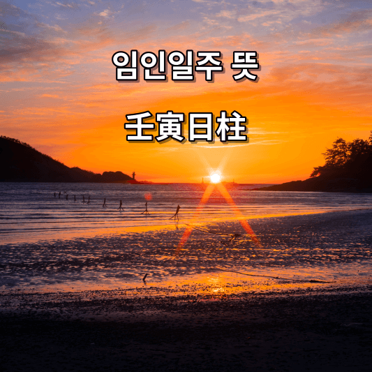 임인일주 뜻